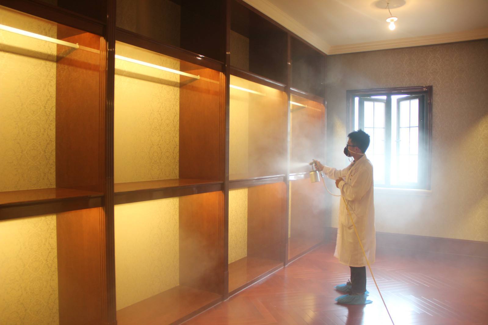 裝修后，甲醛無可避免。放一盆水除甲醛？“行家”告訴你有多扯淡